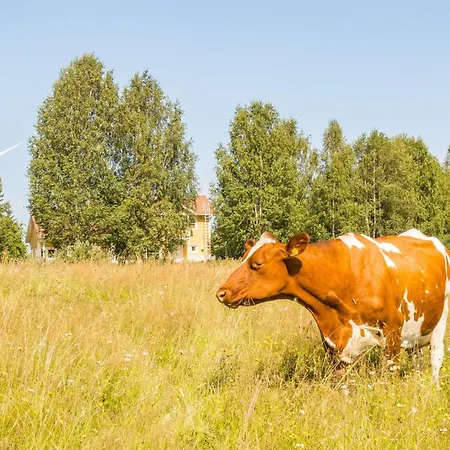 Grand Kemijoki By Interhome Tervola