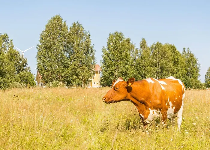 Grand Kemijoki By Interhome Tervola