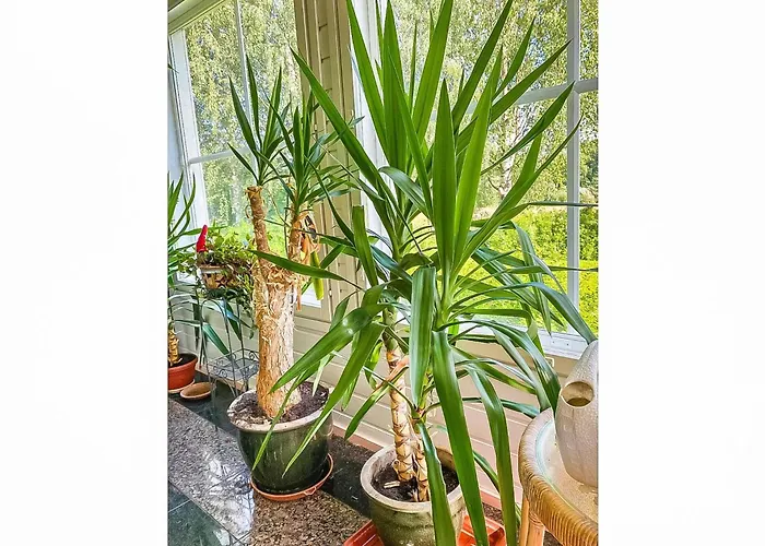 Grand Kemijoki By Interhome Prázdninový dům